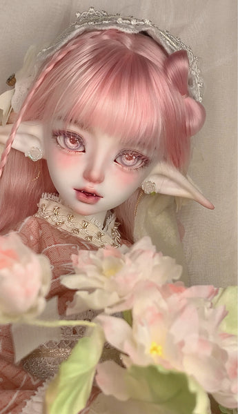 YMAO of Doll - Gui Hua