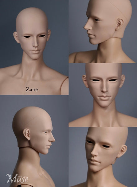 Muse Doll - Zane