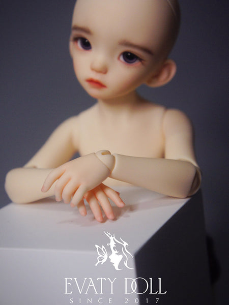 Evaty Doll - Chisa