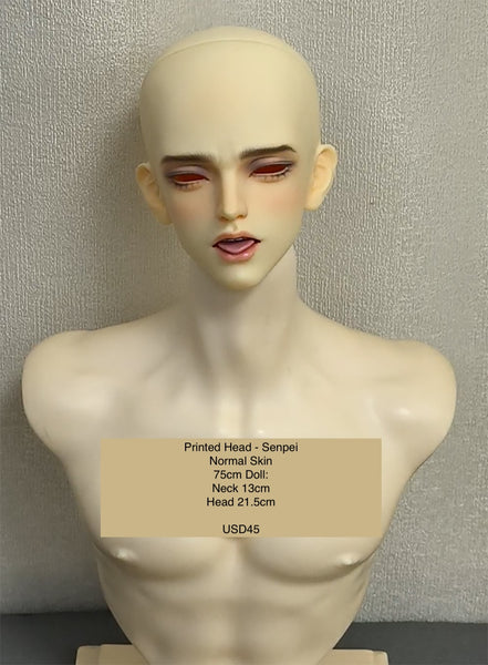 Inazuma Doll - Painted Head Collection