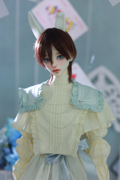 [15% OFF] Wonderland Doll - Bunny & 68 Body