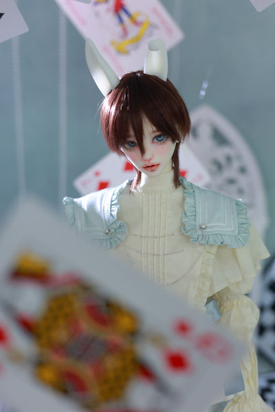 [15% OFF] Wonderland Doll - Bunny & 68 Body