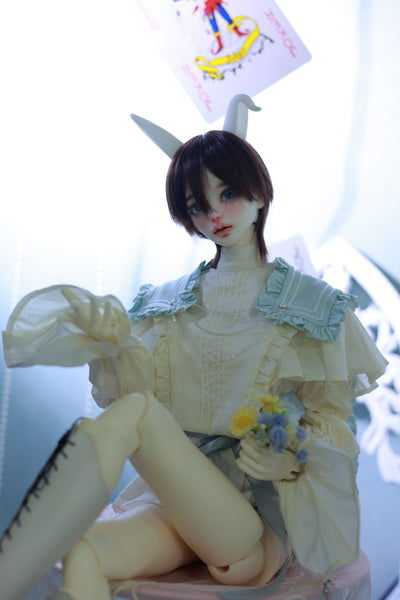 [15% OFF] Wonderland Doll - Bunny & 68 Body