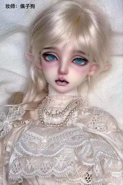 Alhagi Doll - Liang