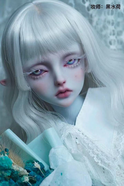 Alhagi Doll - Liang