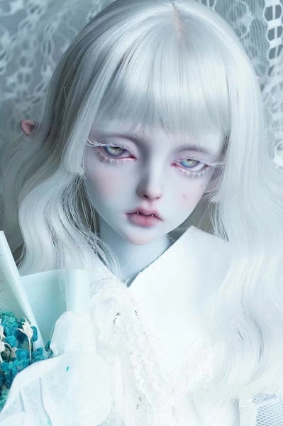 Alhagi Doll - Liang
