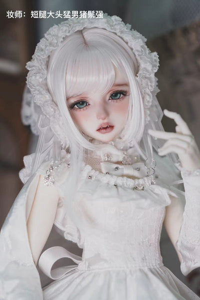 Alhagi Doll - Liang