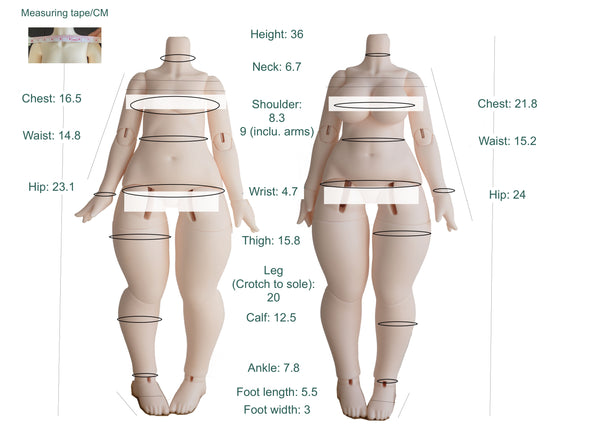 Giant Salamander Doll - Raccoon & Crawler Body