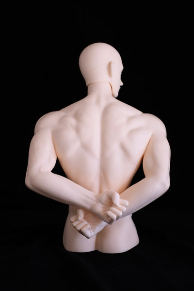 SQ-X Doll - Bust Stand