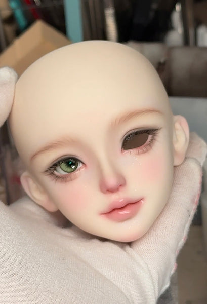 Cat Fat - Face-up Service