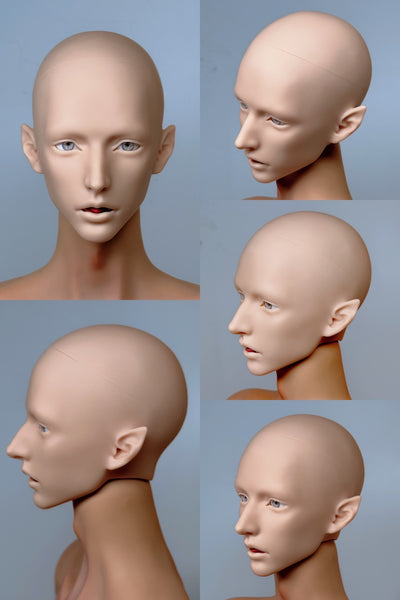 Panini Doll - Modena SP