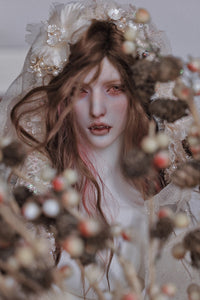 Panini Doll - Modena SP