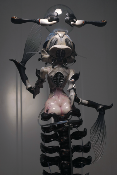 Coral Reef - Hammerhead Shark