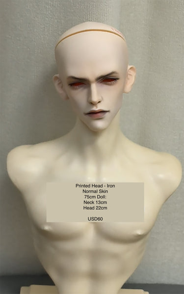 Inazuma Doll - Painted Head Collection