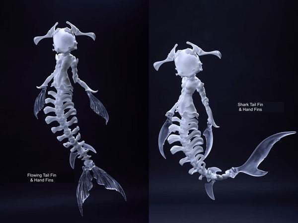 Coral Reef - Hammerhead Shark