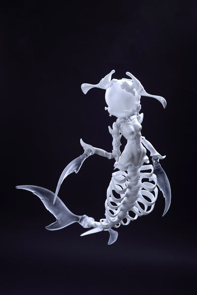 Coral Reef - Hammerhead Shark