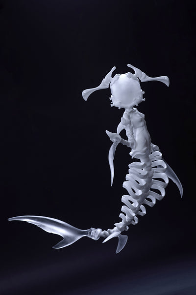 Coral Reef - Hammerhead Shark