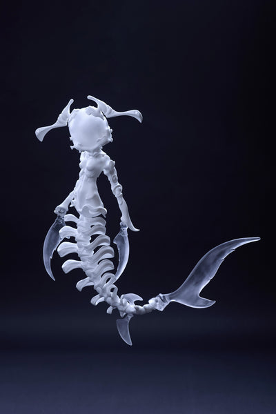 Coral Reef - Hammerhead Shark