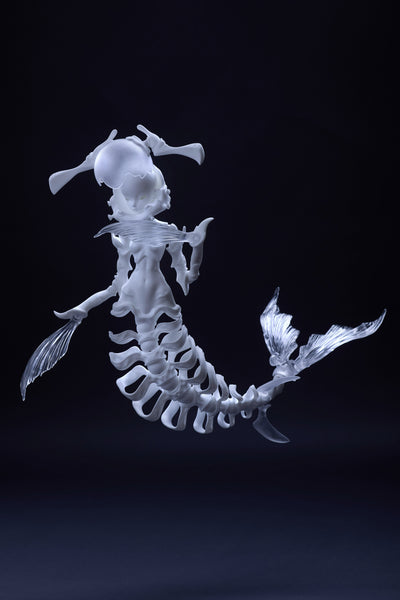 Coral Reef - Hammerhead Shark