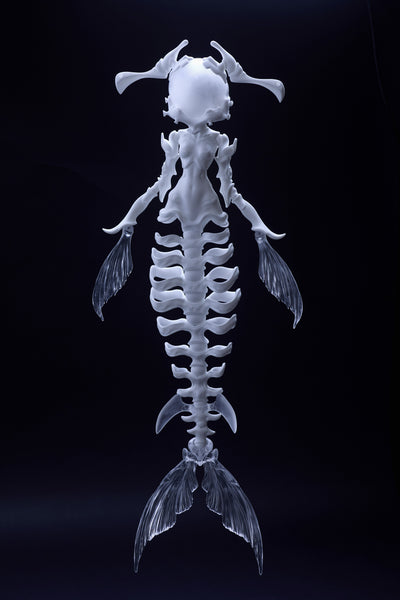 Coral Reef - Hammerhead Shark