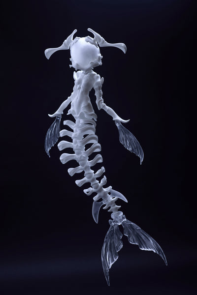 Coral Reef - Hammerhead Shark