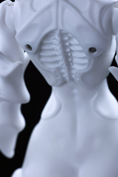 Coral Reef - Hammerhead Shark