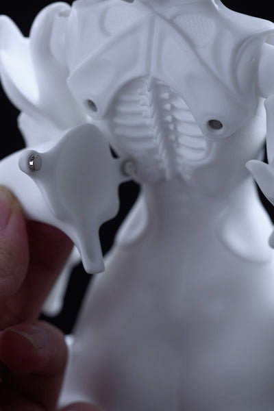 Coral Reef - Hammerhead Shark