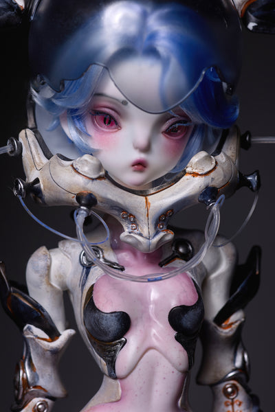 Coral Reef - Hammerhead Shark