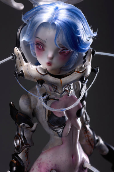 Coral Reef - Hammerhead Shark