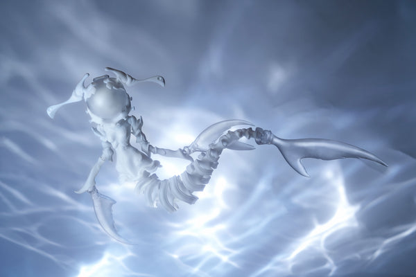 Coral Reef - Hammerhead Shark