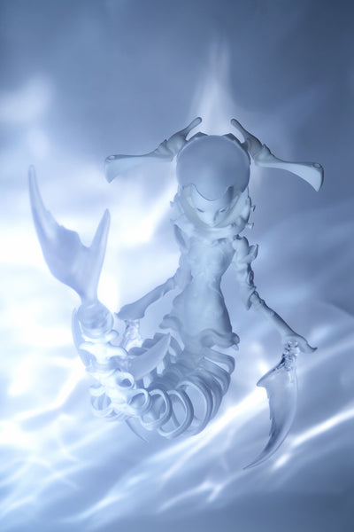 Coral Reef - Hammerhead Shark