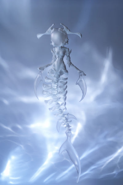 Coral Reef - Hammerhead Shark