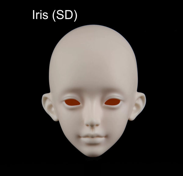 Coral Reef - Iris (SD)
