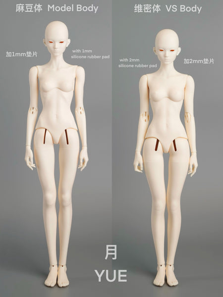 FAN/FF Doll - MSD Heads & Body Add-ons