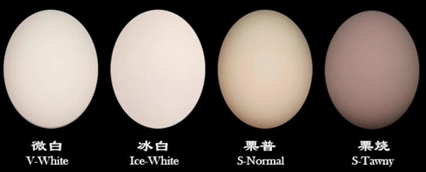 ANother Secret - Wu Jiu Zi