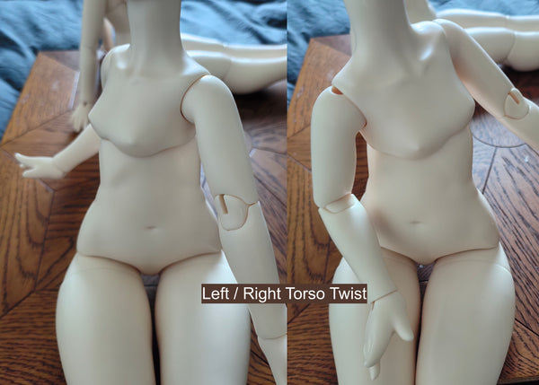 Giant Salamander Doll - Raccoon & Crawler Body