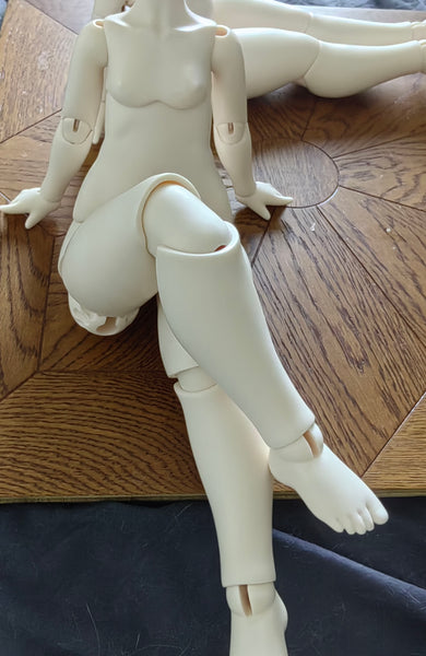 Giant Salamander Doll - Raccoon & Crawler Body