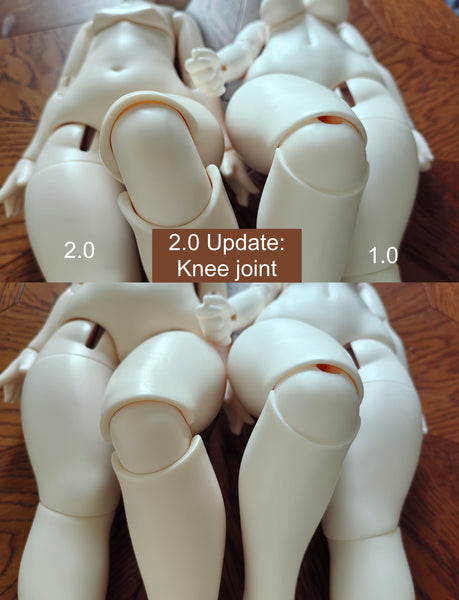 Giant Salamander Doll - Raccoon & Crawler Body