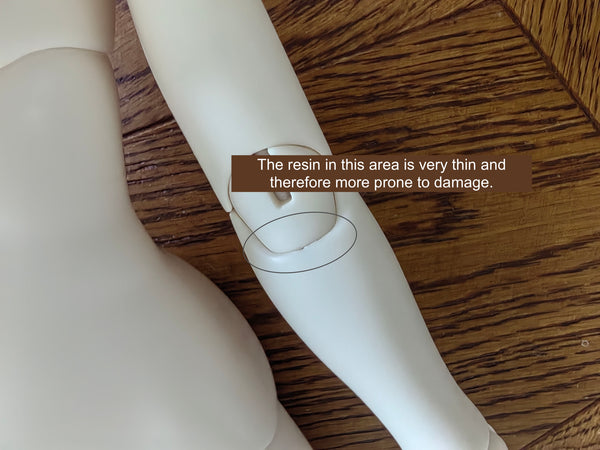 Giant Salamander Doll - Raccoon & Crawler Body