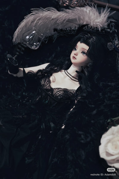 Adam Doll - Starlit Radiance