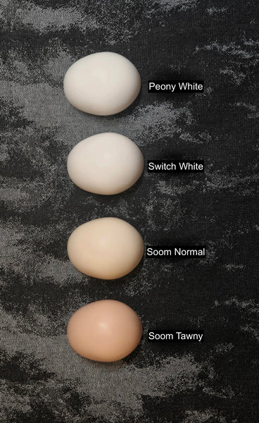 Alberich - Lingyi MSD