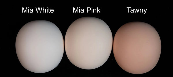 JR Doll - Lie, Zhao & Ming