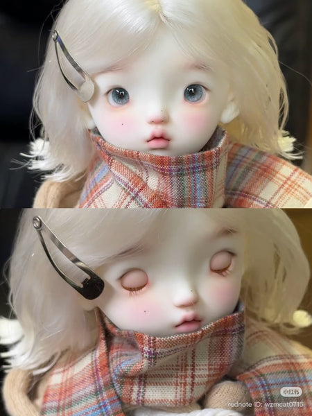 Mosquito Cat - Papu, Dodo Wen & Smiley Wen