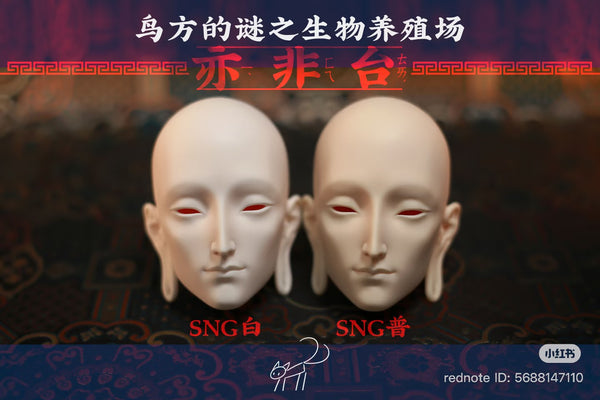 BirdCube - Yi Fei Tai Proxy Purchase