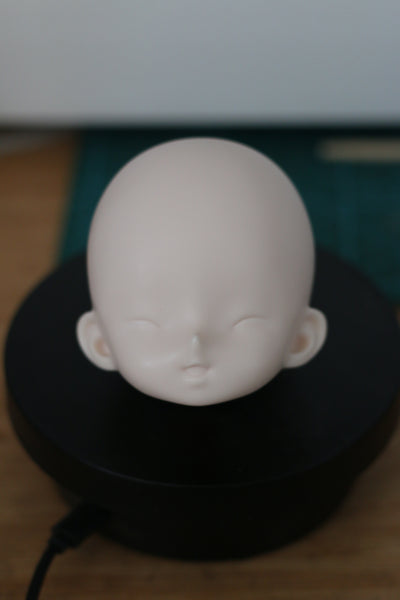 Giant Salamander Doll - Raccoon & Crawler Body