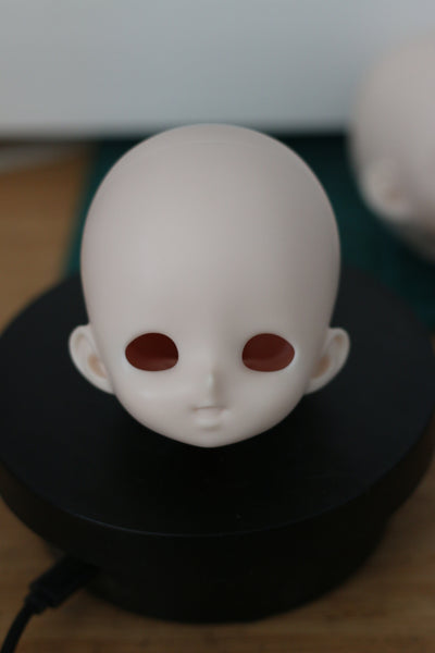 Giant Salamander Doll - Raccoon & Crawler Body