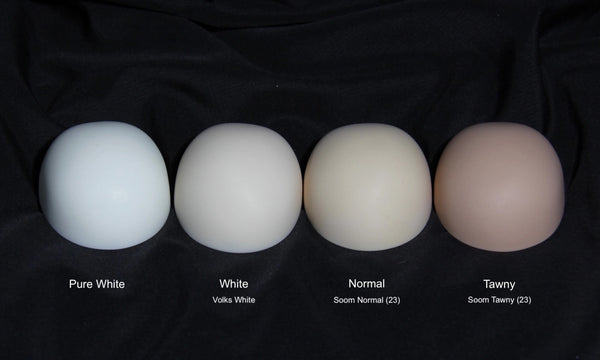 Lumens Studio - Giselle & Viper