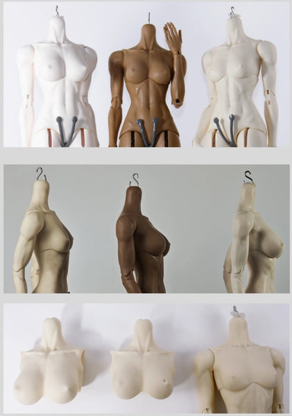 AbiDoll - Hera & 72 Body