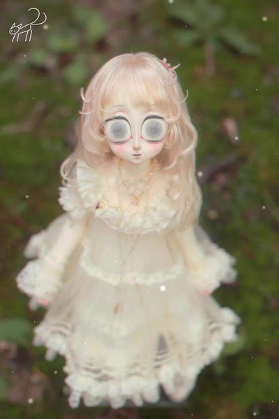 BirdCube - Tica · Igi Proxy Purchase