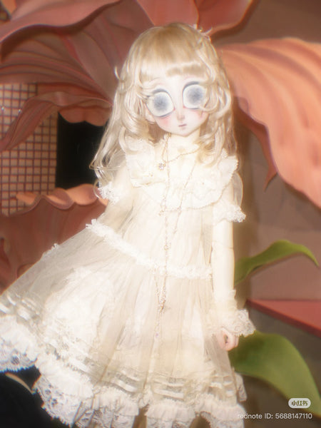 BirdCube - Tica · Igi Proxy Purchase